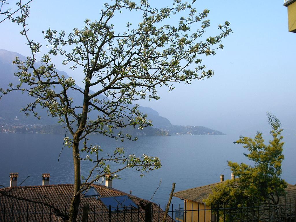 B&B Sosta Sul Lago Lezzeno Εξωτερικό φωτογραφία